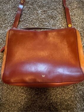 Anya Hindmarch Orange and Red Leather Interior Crossbody